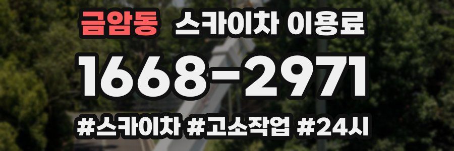 금암동 스카이차 이용료