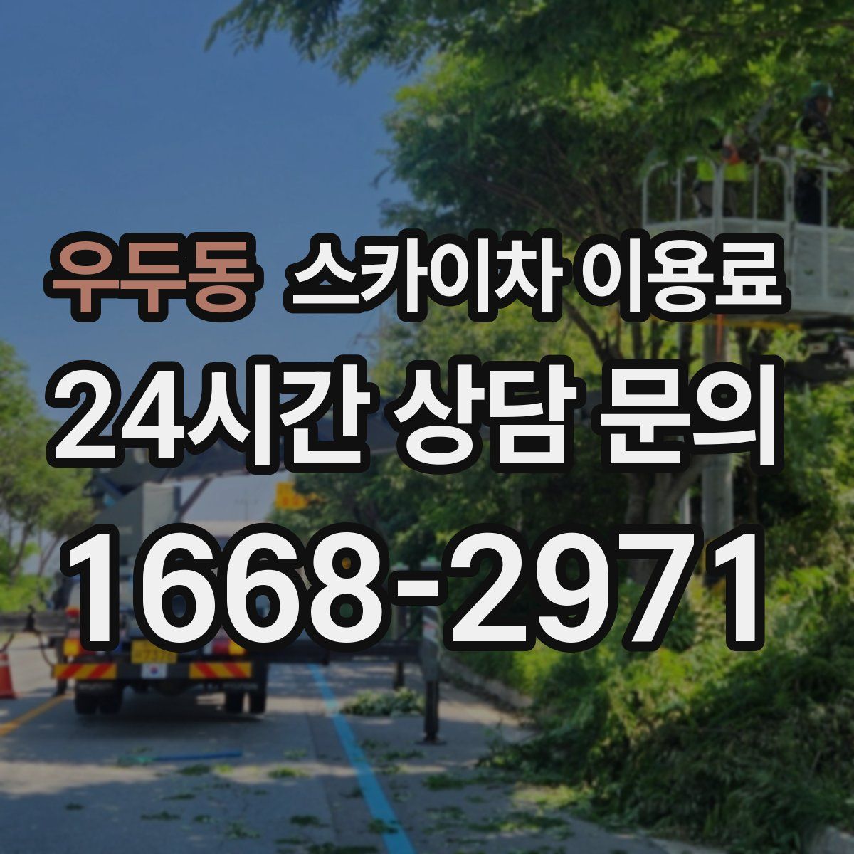 우두동 스카이차 이용료