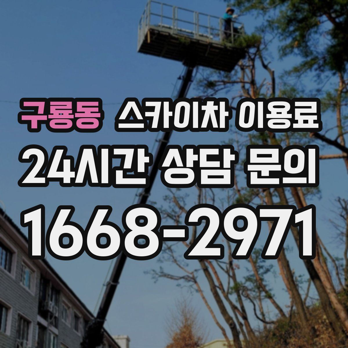 구룡동 스카이차 이용료