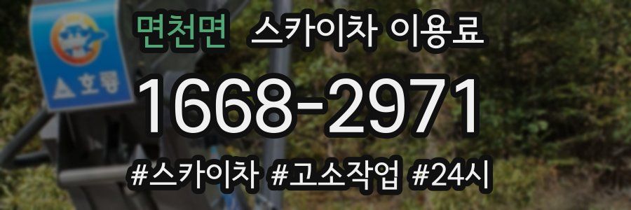 면천면 스카이차 이용료