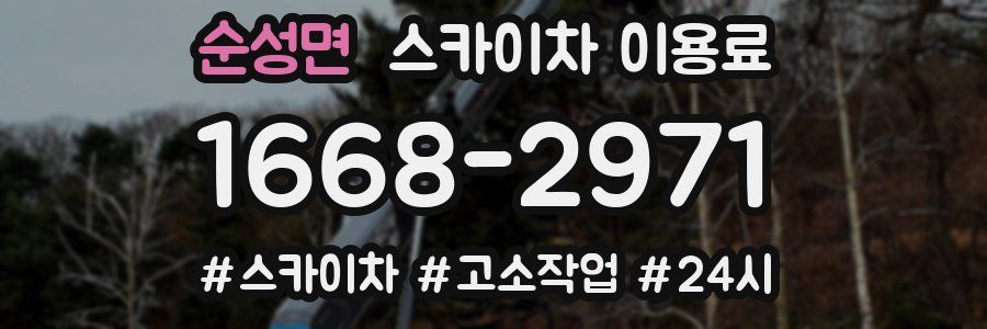 순성면 스카이차 이용료