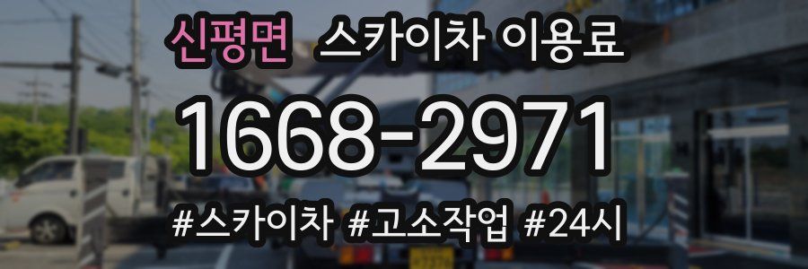 신평면 스카이차 이용료