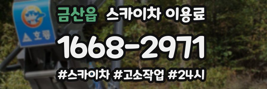 금산읍 스카이차 이용료