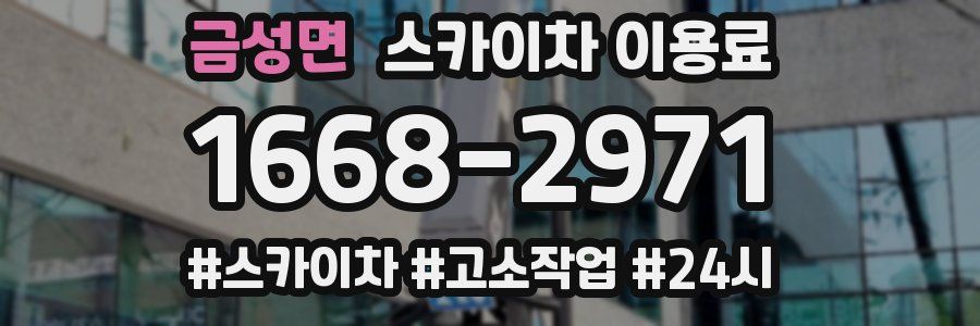 금성면 스카이차 이용료