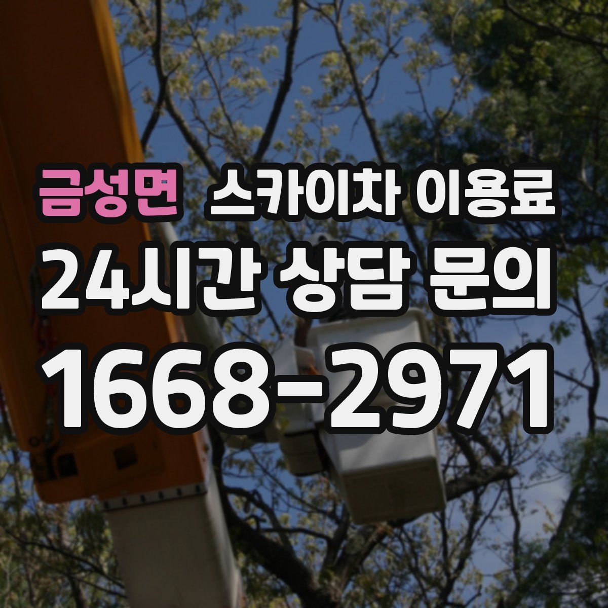 금성면 스카이차 이용료