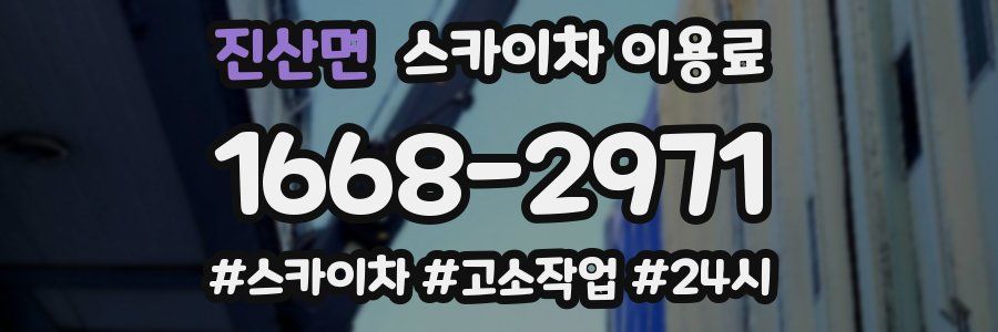 진산면 스카이차 이용료