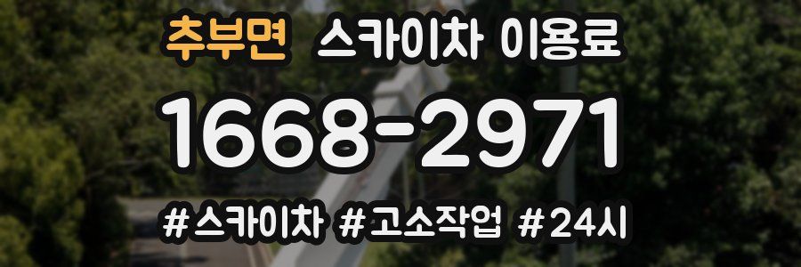 추부면 스카이차 이용료