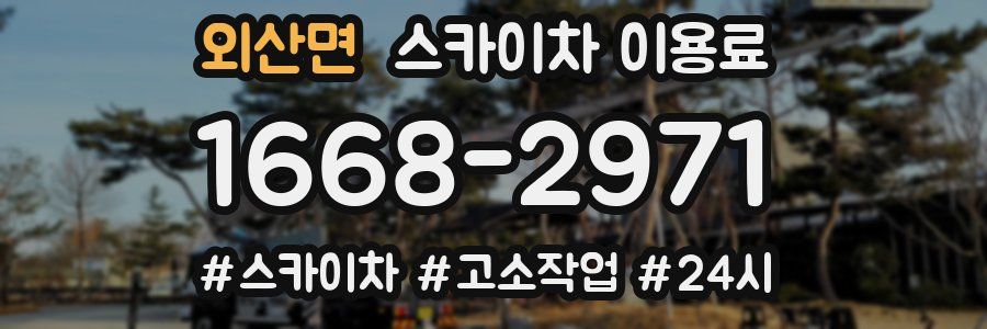 외산면 스카이차 이용료