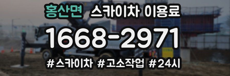 홍산면 스카이차 이용료