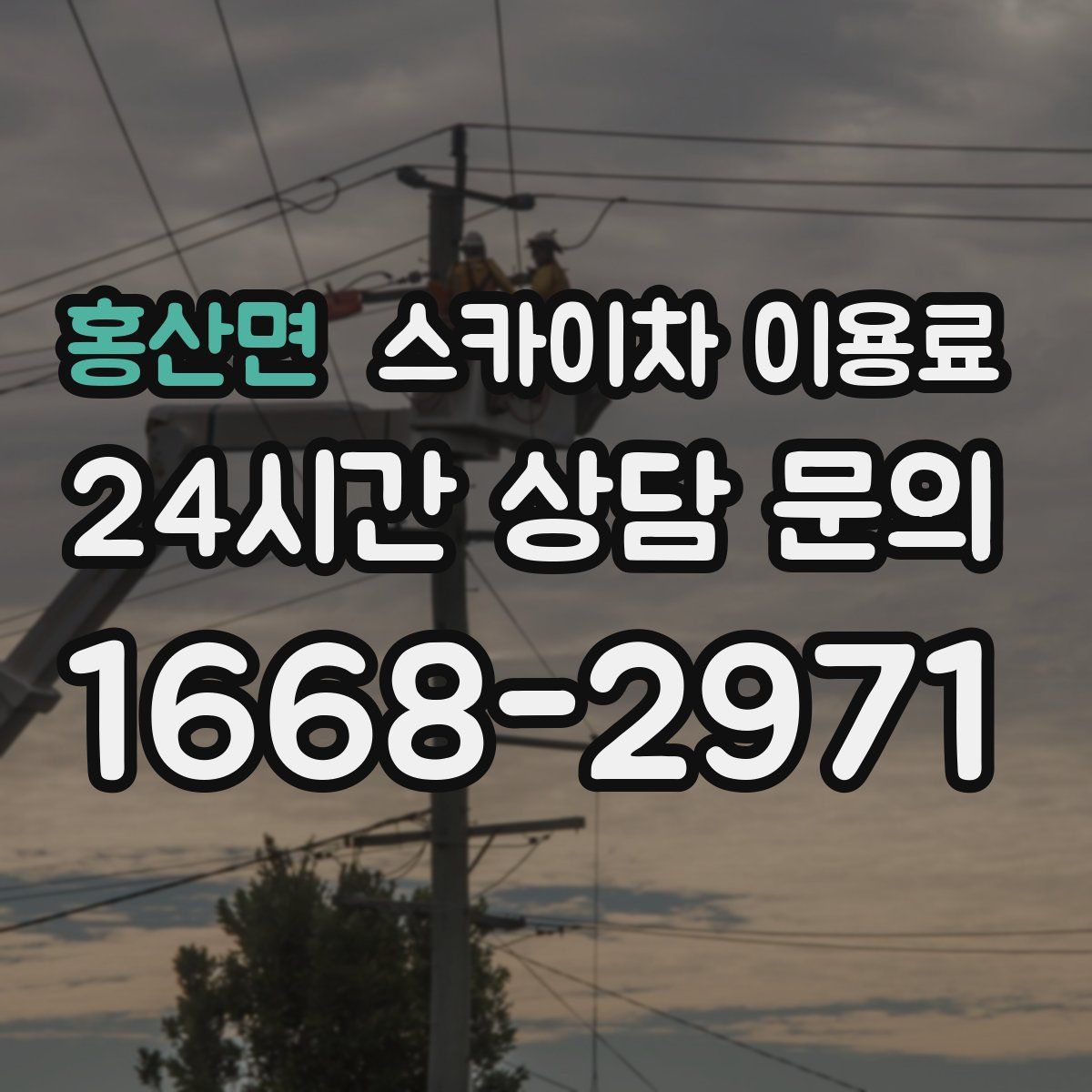 홍산면 스카이차 이용료