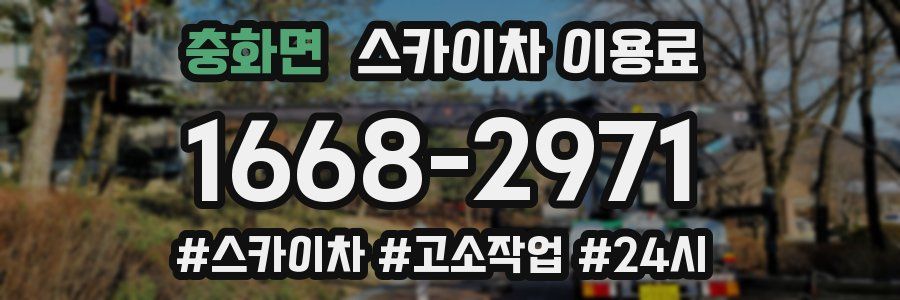 충화면 스카이차 이용료
