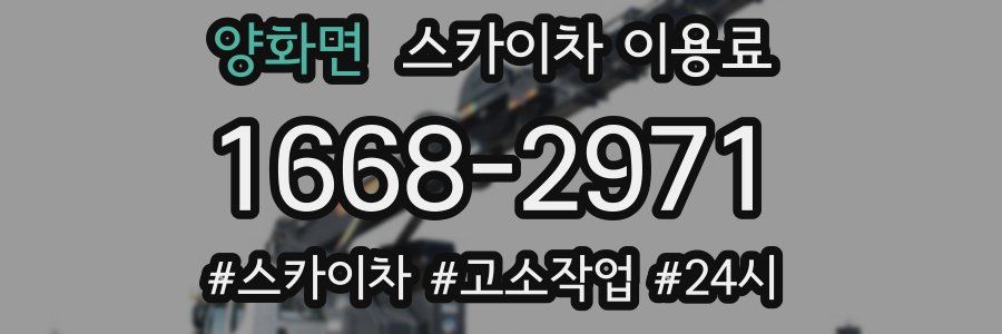 양화면 스카이차 이용료