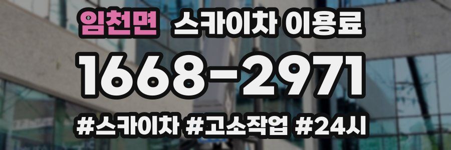 임천면 스카이차 이용료