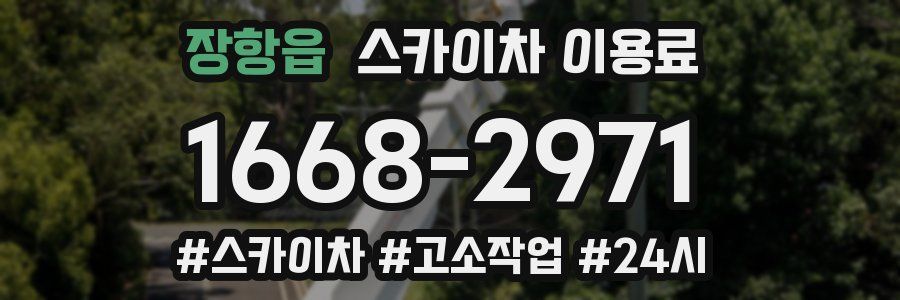 장항읍 스카이차 이용료