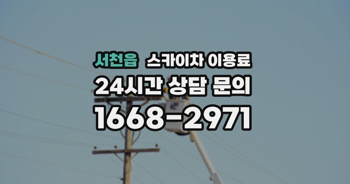 서천읍 스카이차 이용료
