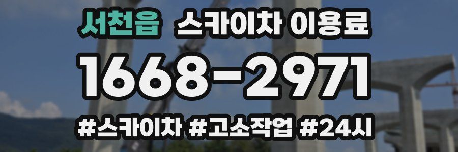 서천읍 스카이차 이용료