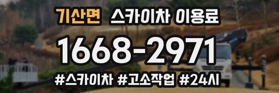 기산면 스카이차 이용료