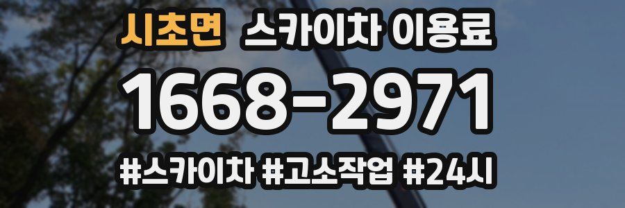 시초면 스카이차 이용료