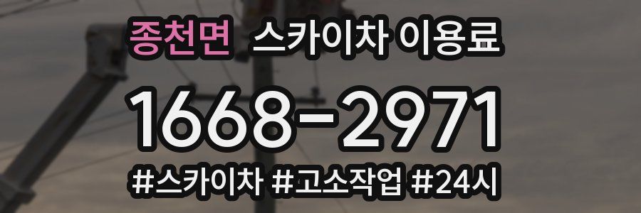 종천면 스카이차 이용료