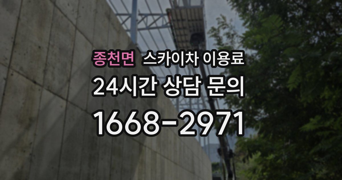 종천면 스카이차 이용료