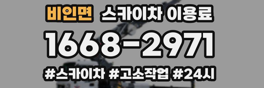 비인면 스카이차 이용료