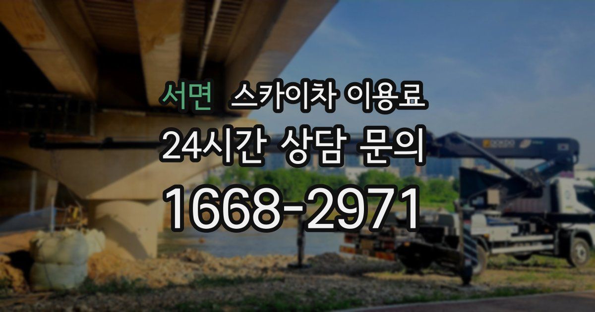 서면 스카이차 이용료
