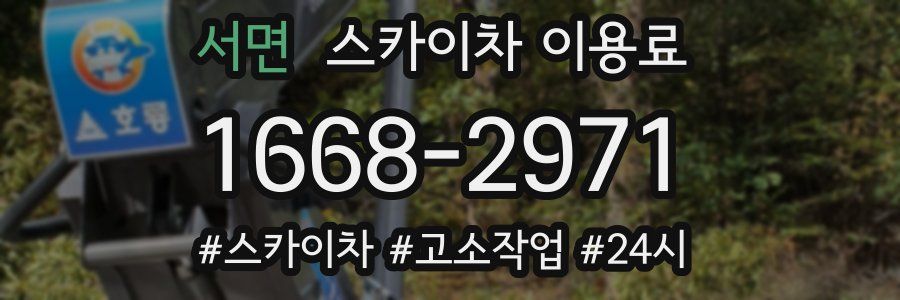 서면 스카이차 이용료