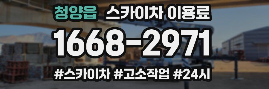 청양읍 스카이차 이용료