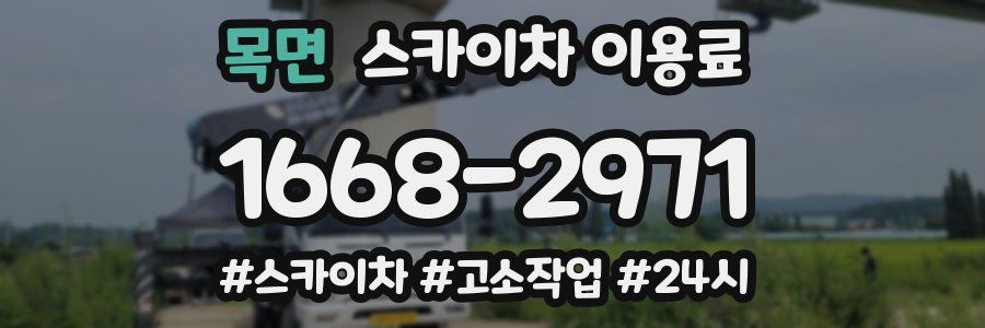 목면 스카이차 이용료