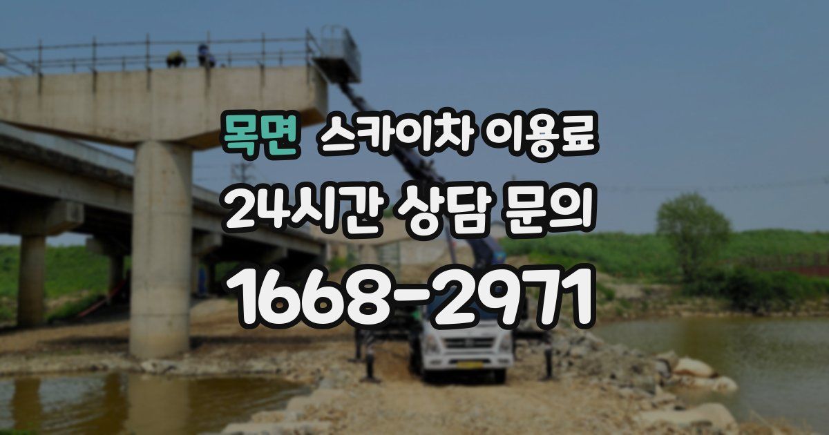 목면 스카이차 이용료
