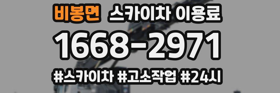비봉면 스카이차 이용료