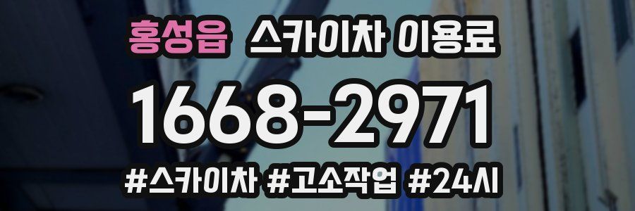 홍성읍 스카이차 이용료