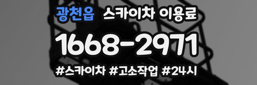 광천읍 스카이차 이용료