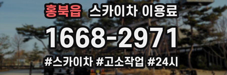 홍북읍 스카이차 이용료
