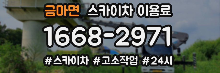 금마면 스카이차 이용료