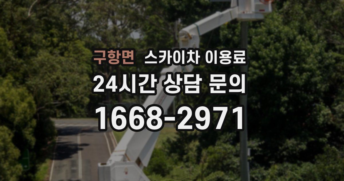 구항면 스카이차 이용료
