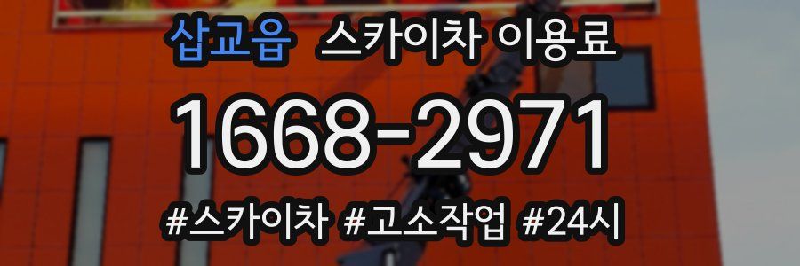 삽교읍 스카이차 이용료