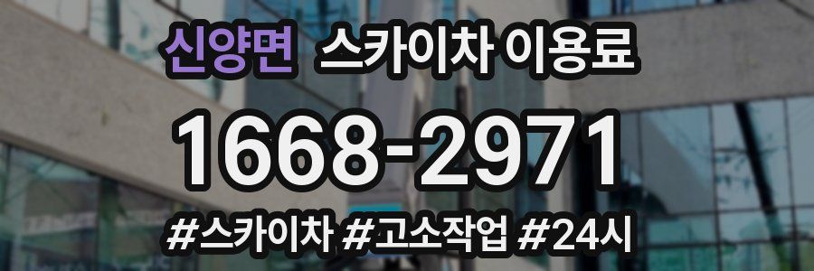 신양면 스카이차 이용료