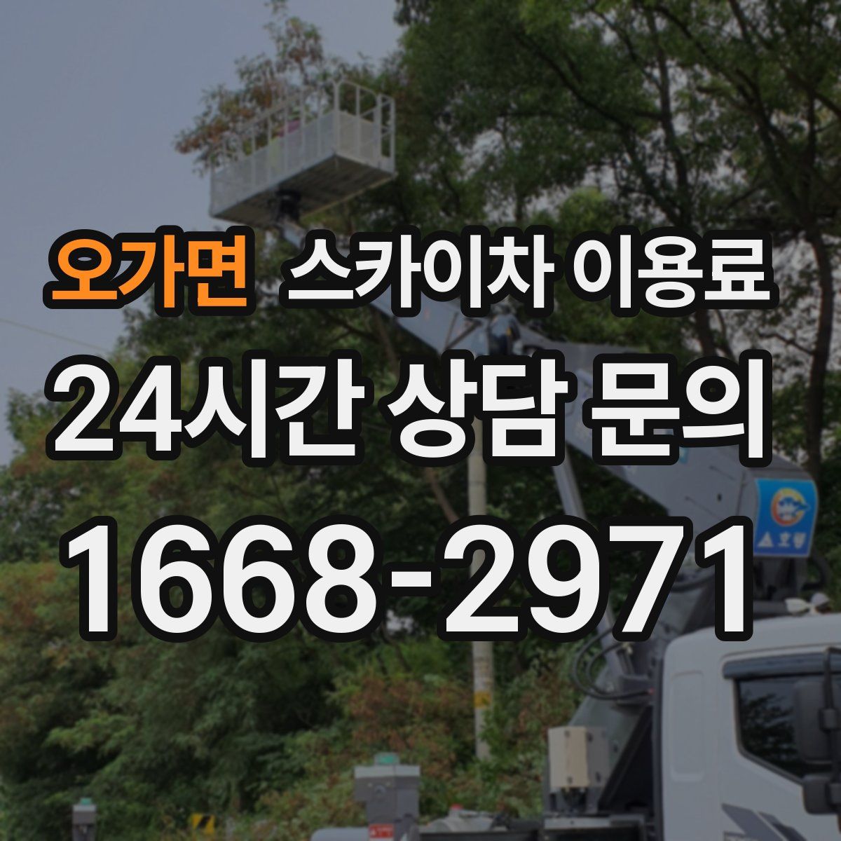 오가면 스카이차 이용료