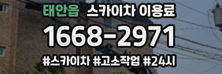 태안읍 스카이차 이용료