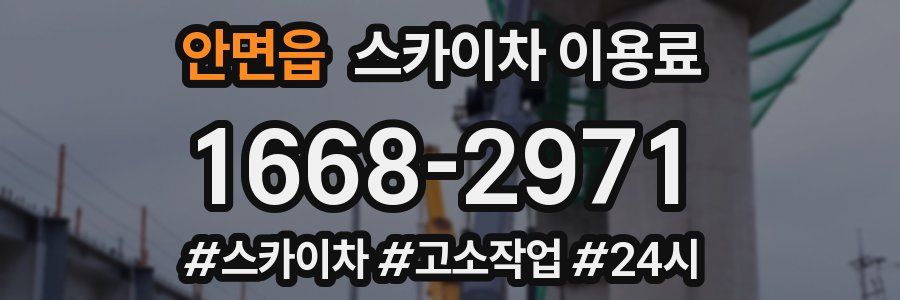 안면읍 스카이차 이용료