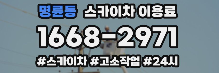 명륜동 스카이차 이용료