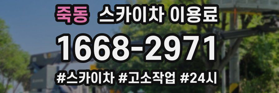 죽동 스카이차 이용료