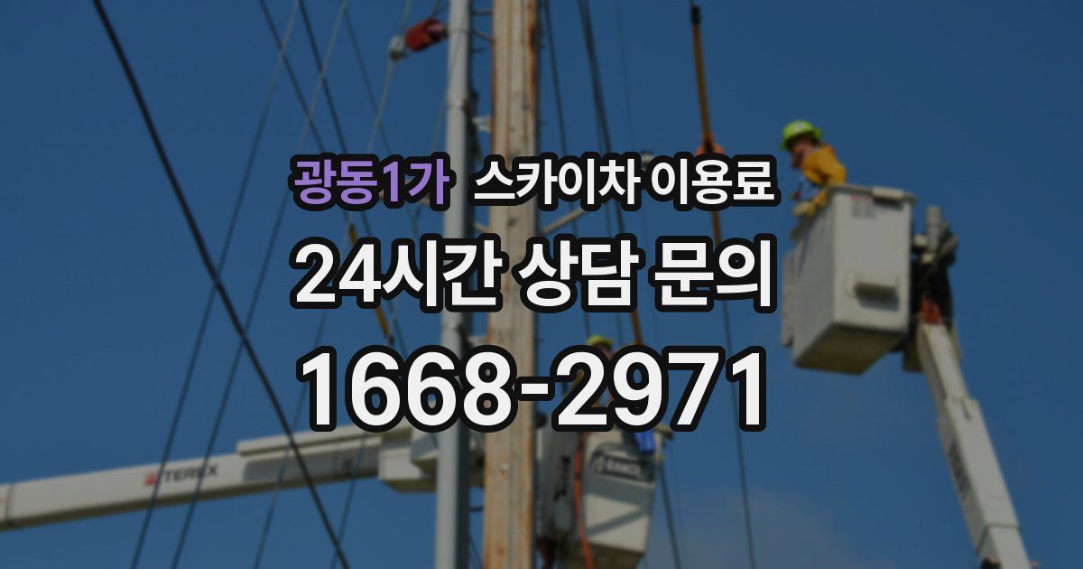 광동1가 스카이차 이용료