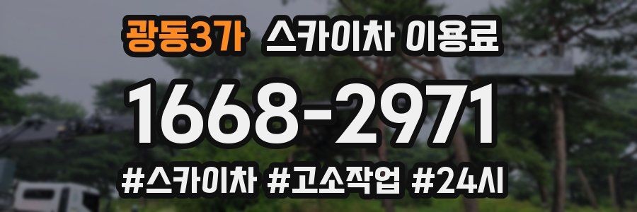 광동3가 스카이차 이용료