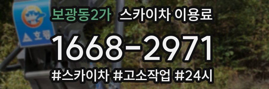 보광동2가 스카이차 이용료