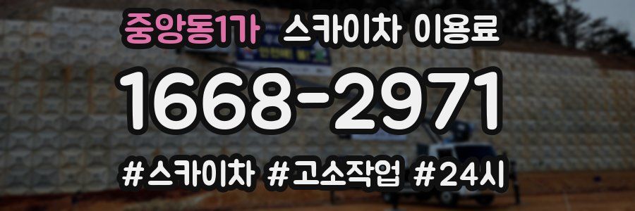 중앙동1가 스카이차 이용료