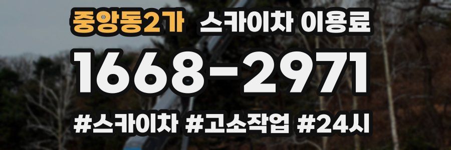 중앙동2가 스카이차 이용료