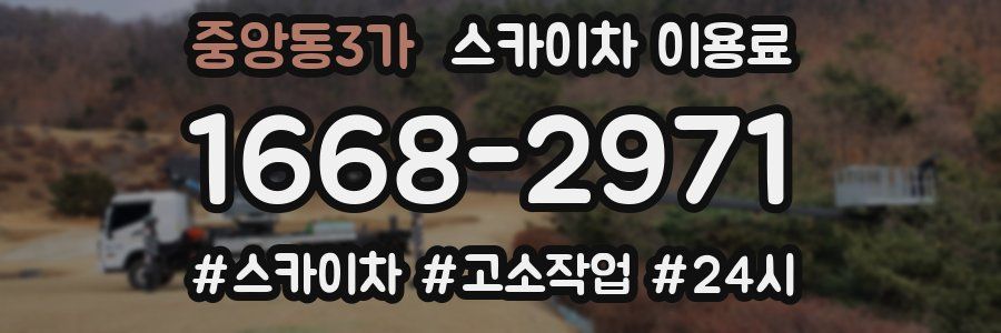 중앙동3가 스카이차 이용료