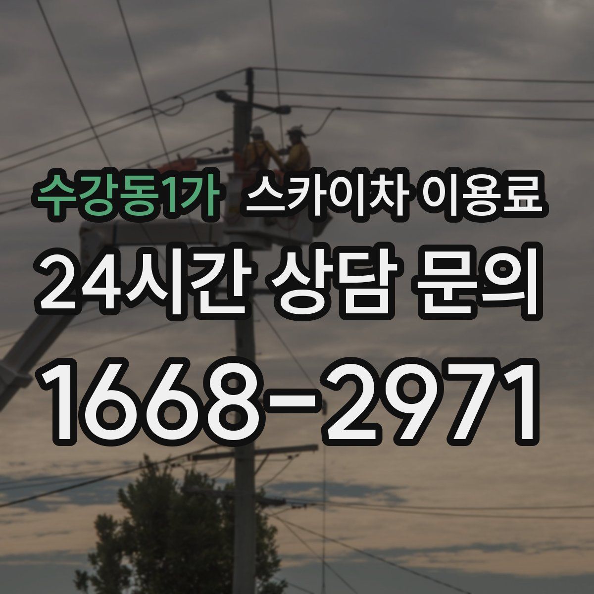 수강동1가 스카이차 이용료
